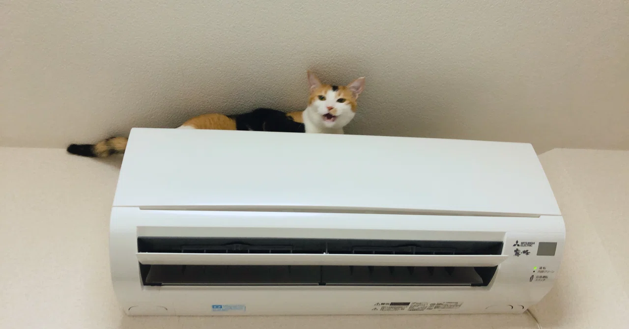 うちの猫がエアコンの上に乗り始めたとです 猫です 猫です みやびちゃん寝る Note