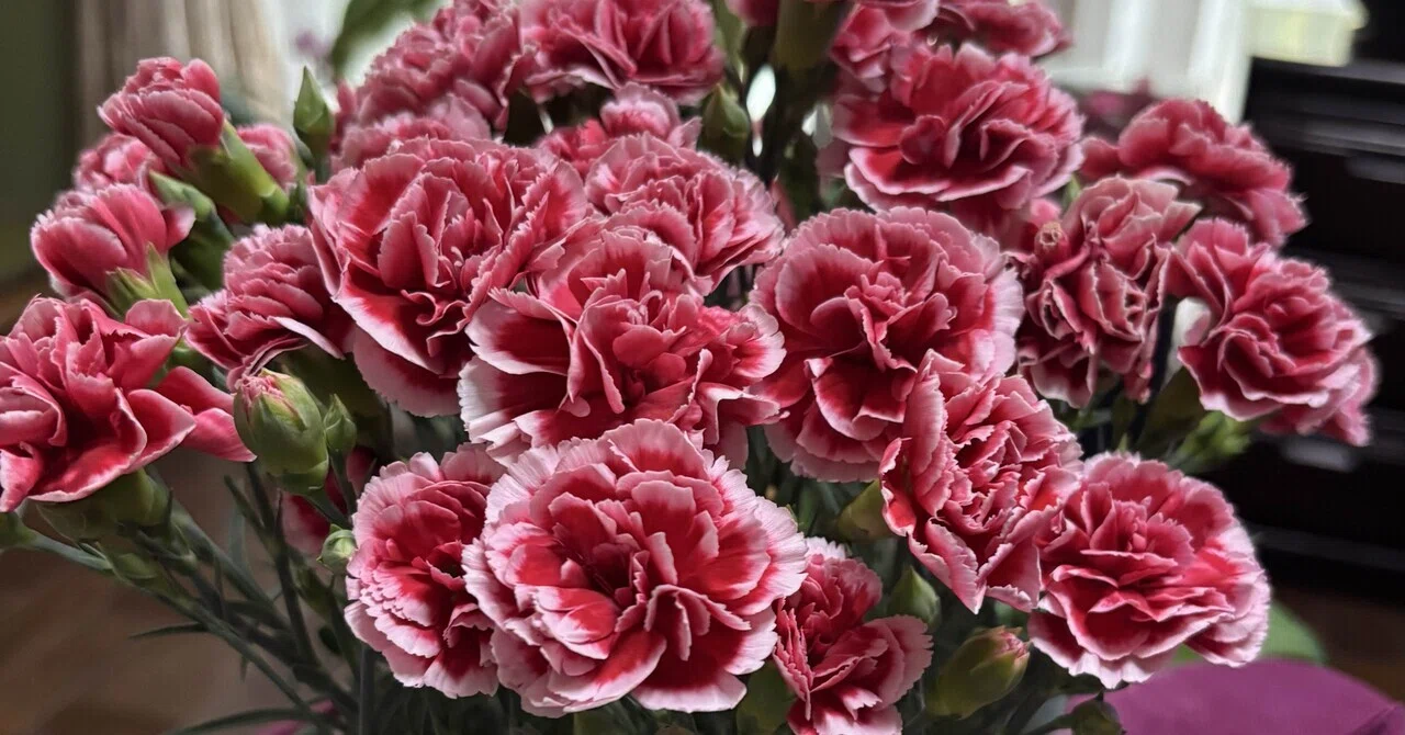 母の日に、薔薇の香りを添えて。｜fumika