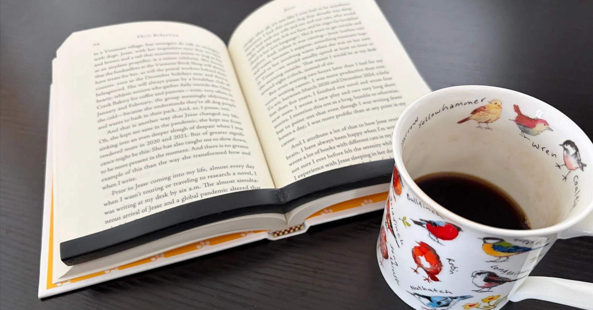 Book Landscapes, Book Memories] #1 On Bookmobiles｜空犬太郎（空犬 