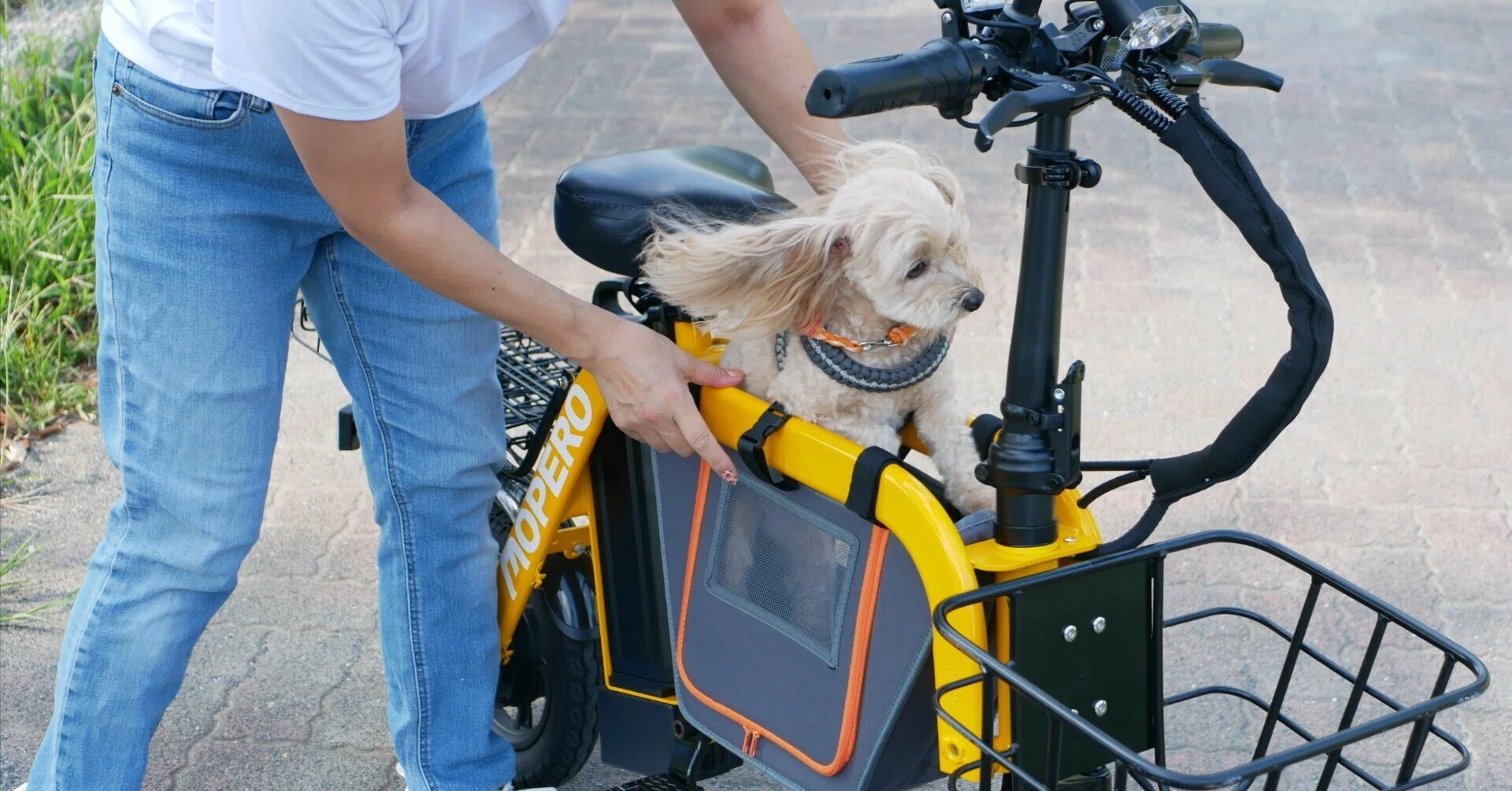 ペットと乗れる免許不要のモビリティ】?MOPERO mini cargo?【特定 