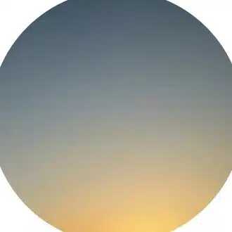 霞草