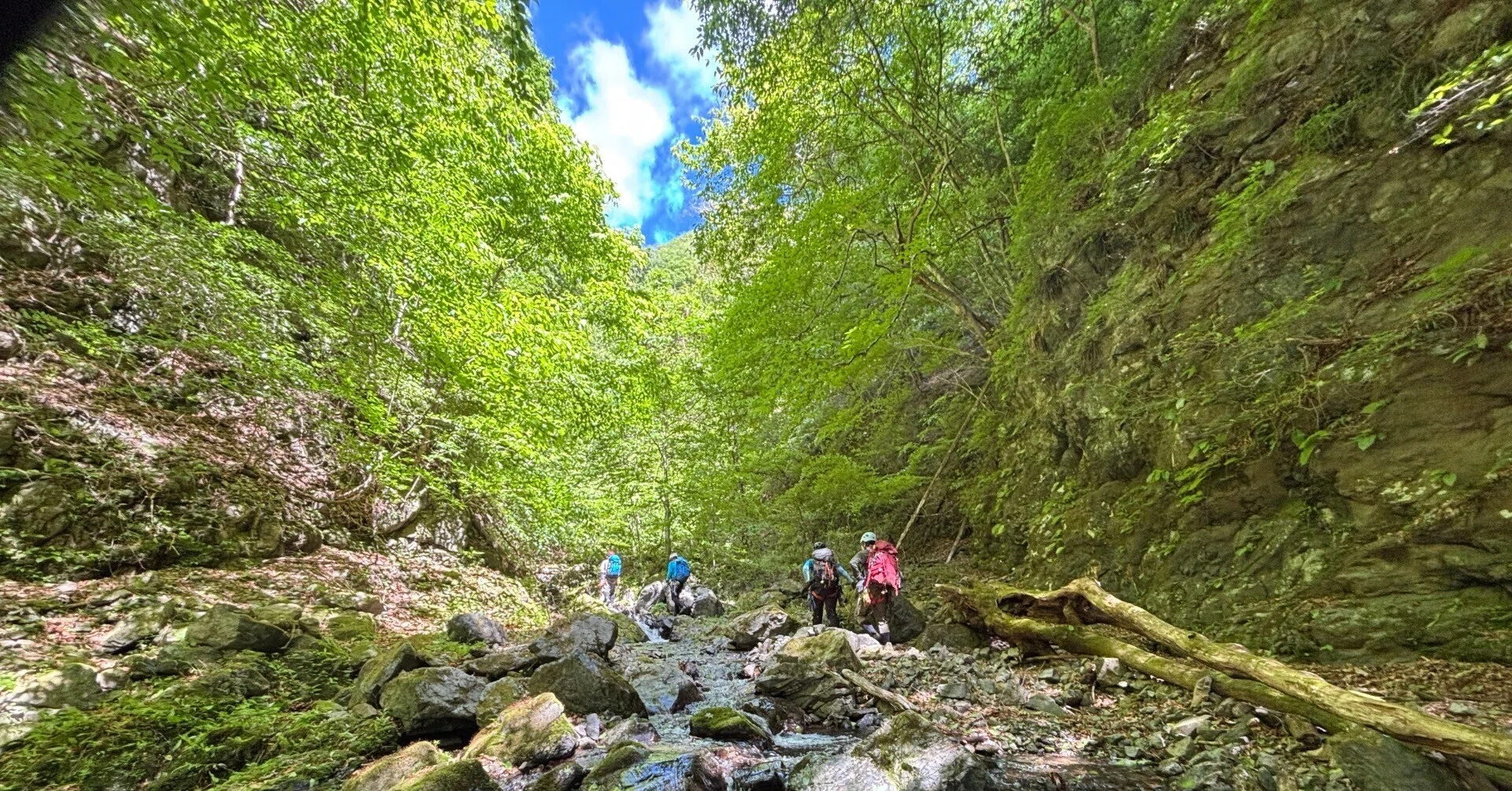 Tamagawa River System, Otaba River, Manai-zawa｜渓友塾友の会