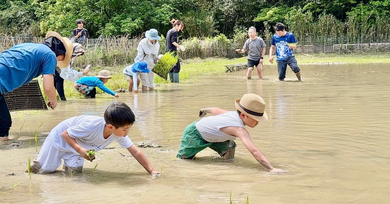 Let's Make 'Red Dragonfly Rice Balls' | Rice Paddies are Cradles for ...