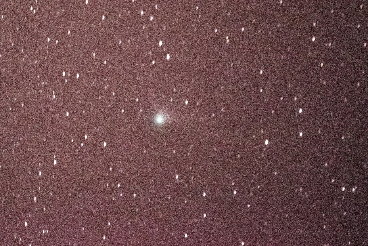 カタリナ彗星0110
