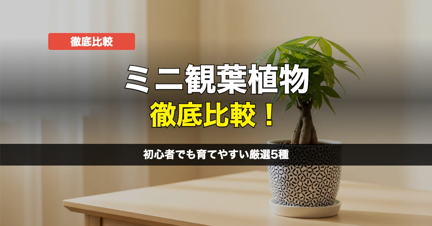 ミニ観葉植物おすすめ比較【初心者向け厳選5選】｜モノ選びの最適解