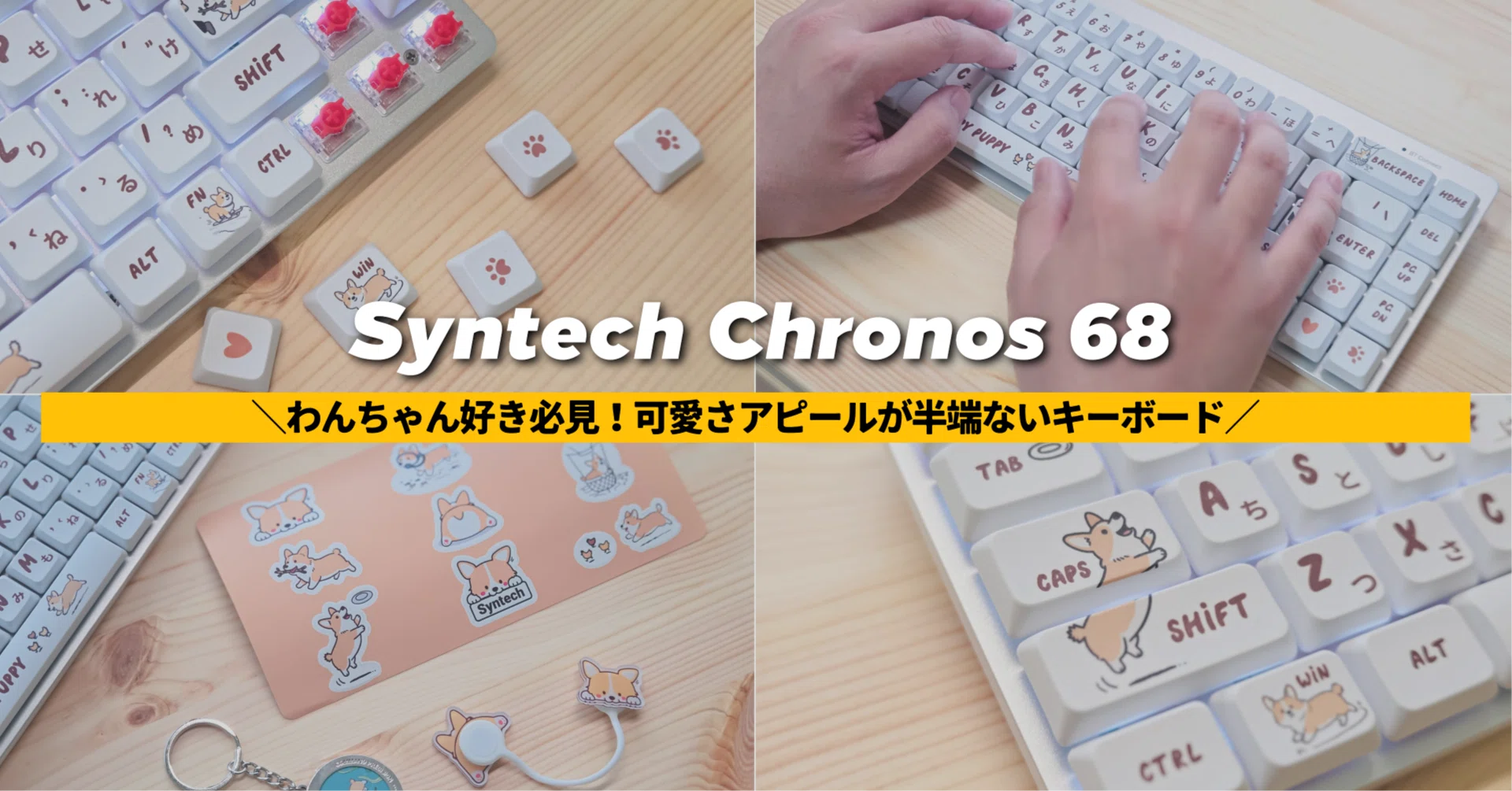 Syntech Chronos 68】わんちゃん好き必見！可愛さアピールが半端ない