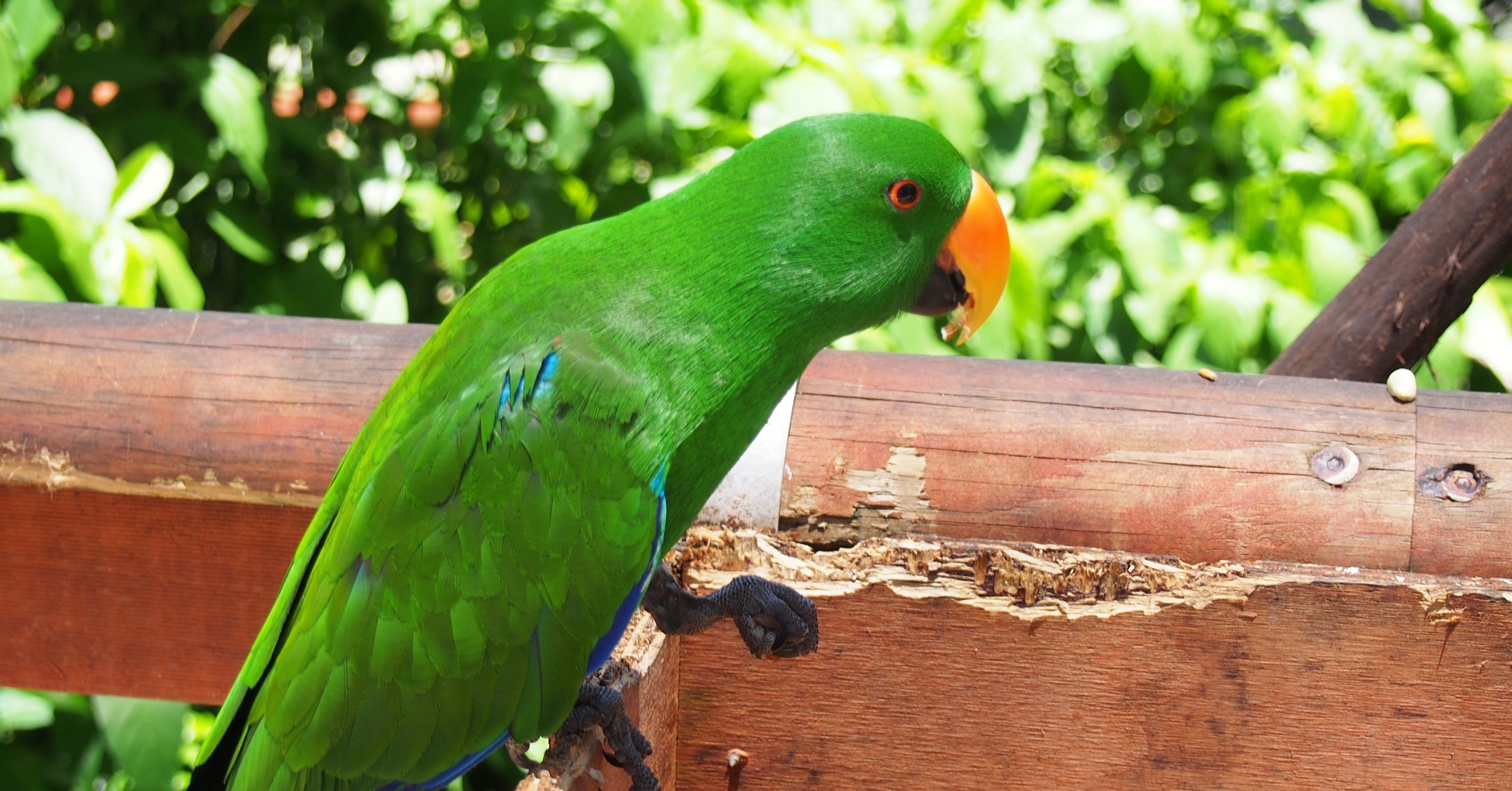 それ 意味ありますか Kenji ー佐原賢治ー Note