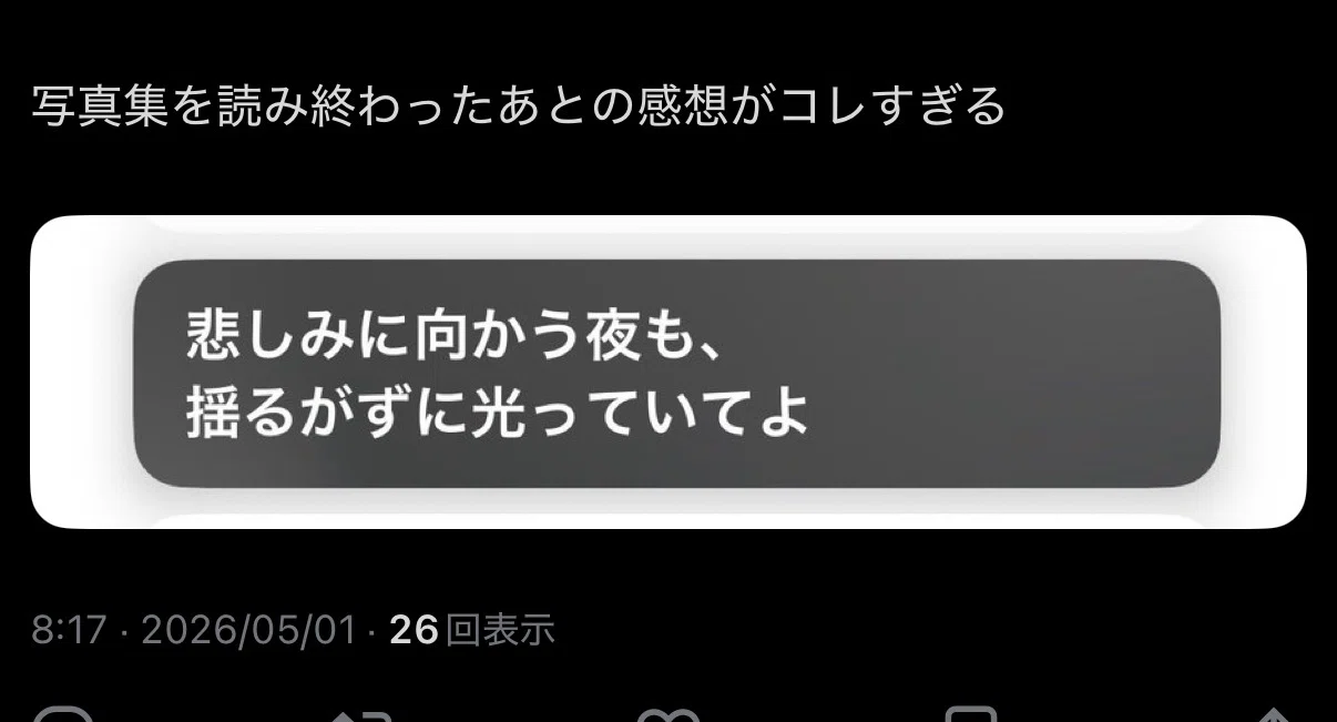LIVING FORと過ごす日々|にゃんころ LIVING FORと過ごす日々|にゃんころ