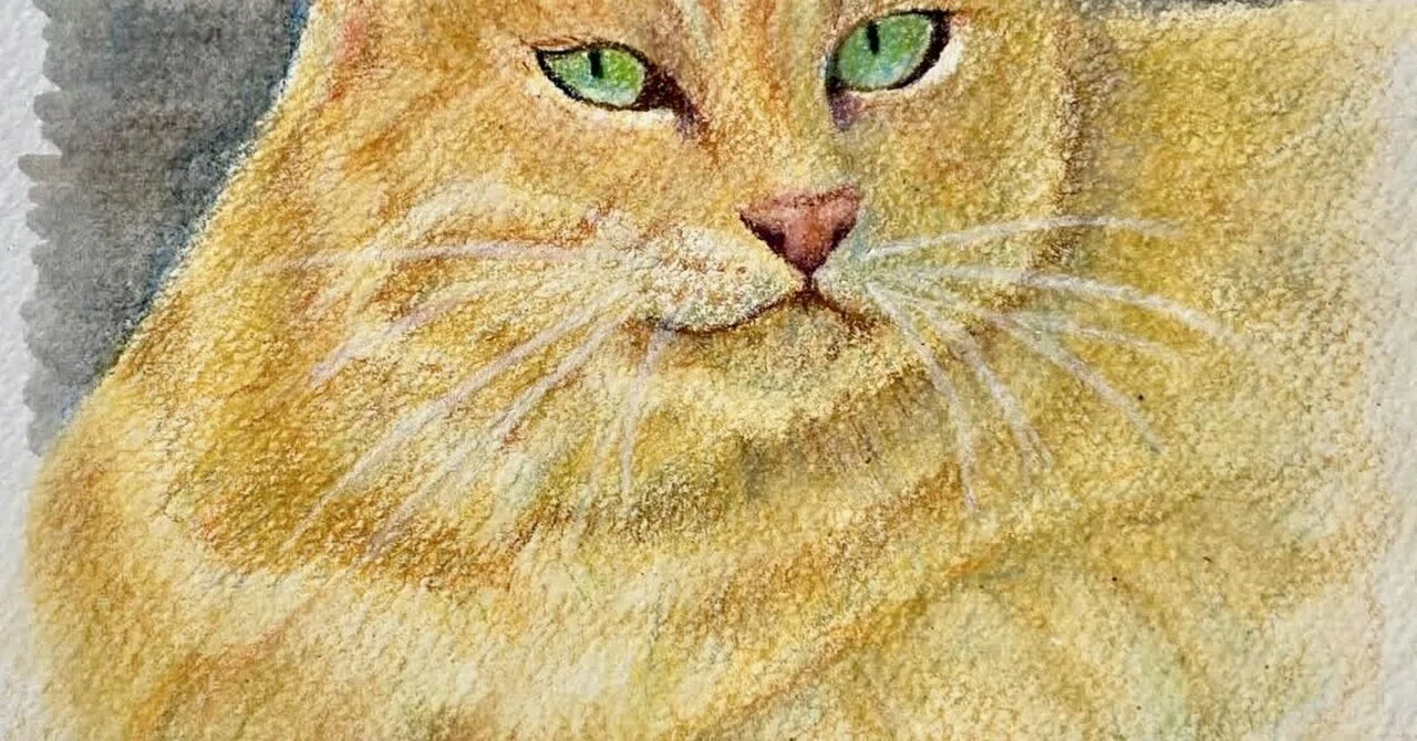 静寂』｜駐車場で出会った猫｜#404美術館｜shiho【色鉛筆画】