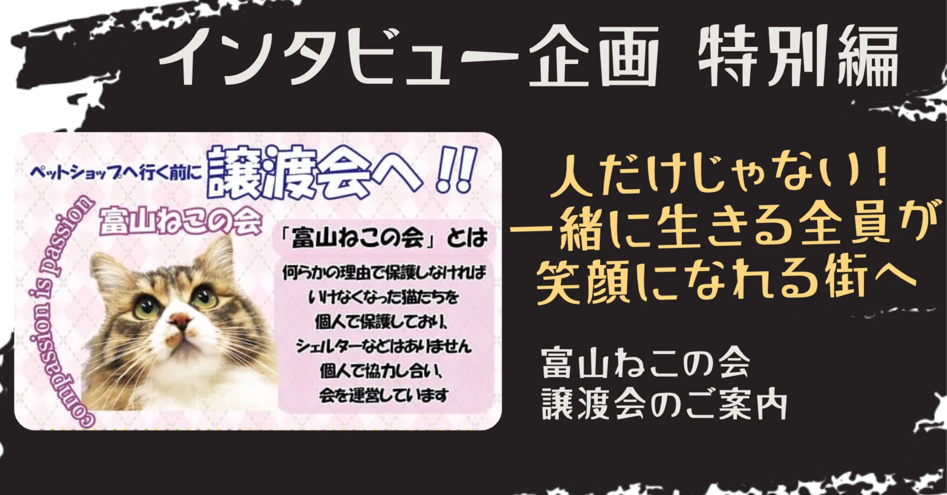 インタビュー 特別編 保護猫 譲渡会】人だけじゃない！一緒に生きる