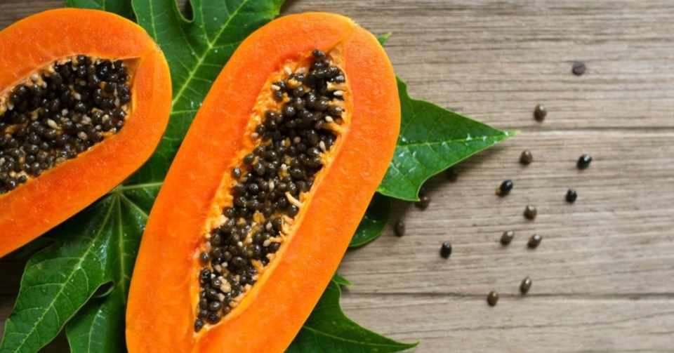 パパイヤの糖質とカロリーが1秒でわかる ダイエット向き 糖質制限ダイエットshiru2 ねこた Note