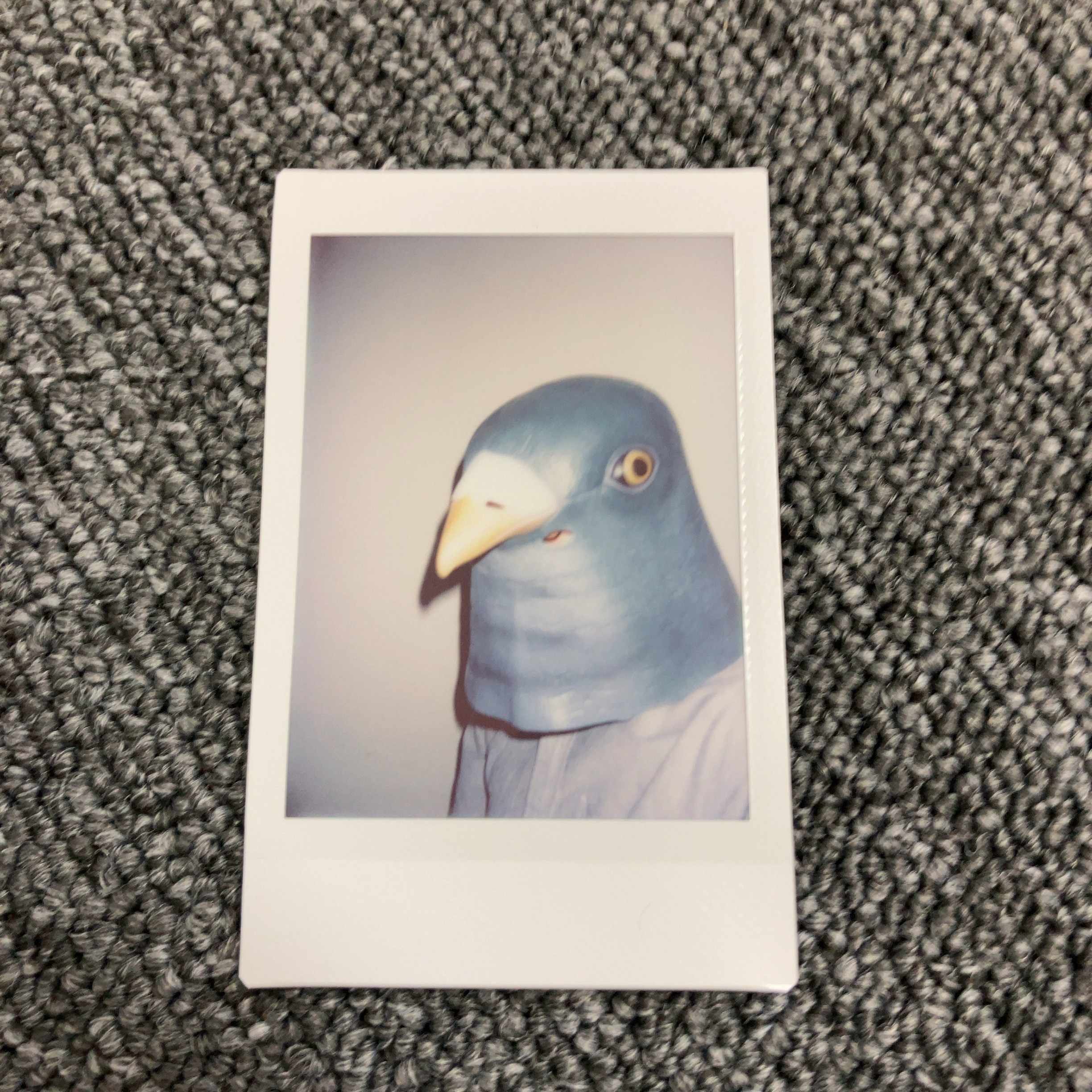 禅 シンプル生活のすすめ 枡野俊明 を読みました ぴっと Note 禅 シンプル生活のすすめ 枡野俊明 を読みました ぴっと Note