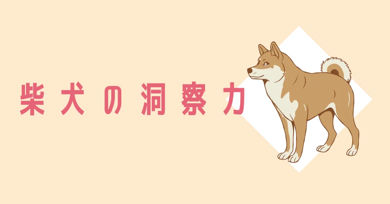 柴犬が好き 柴犬の洞察力】うちのわんこが見抜く「犬好きさん」のオーラ。玄関と庭