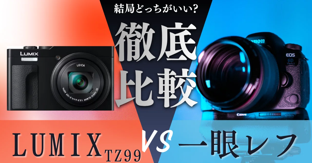 レビュー】ディズニーで使うなら LUMIX / 一眼レフ どっちを選ぶ?｜taRo