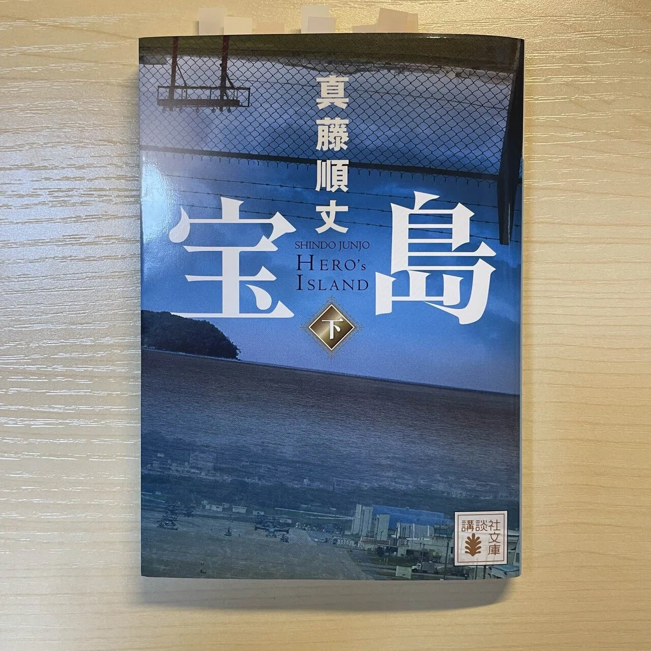 読書感想文】宝島HERO's ISLAND｜真藤順丈｜大月桃実｜おおつきももみ