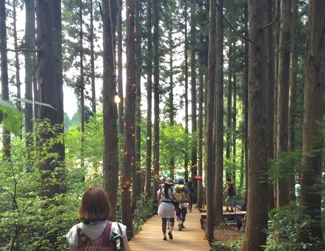画像14