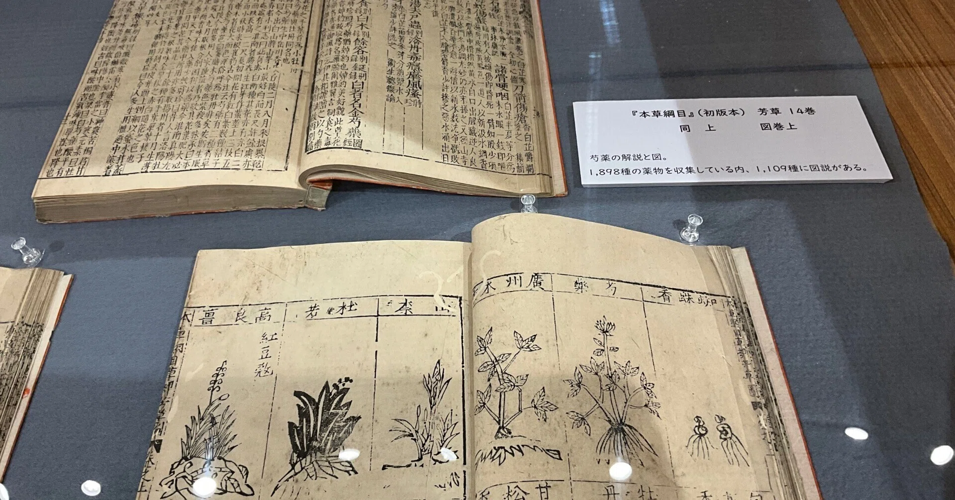 本草綱目』（金陵本）の展示（京都府立植物園）：2026年5月12日（火