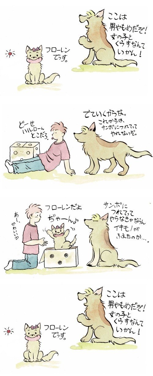 二匹目の犬を飼う友 春みみず Note