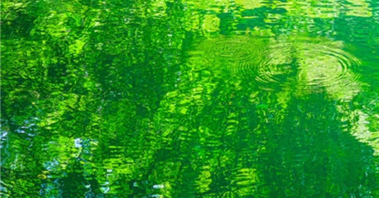 How Employees Can Reduce Financial Anxiety About the Future in an Era ...