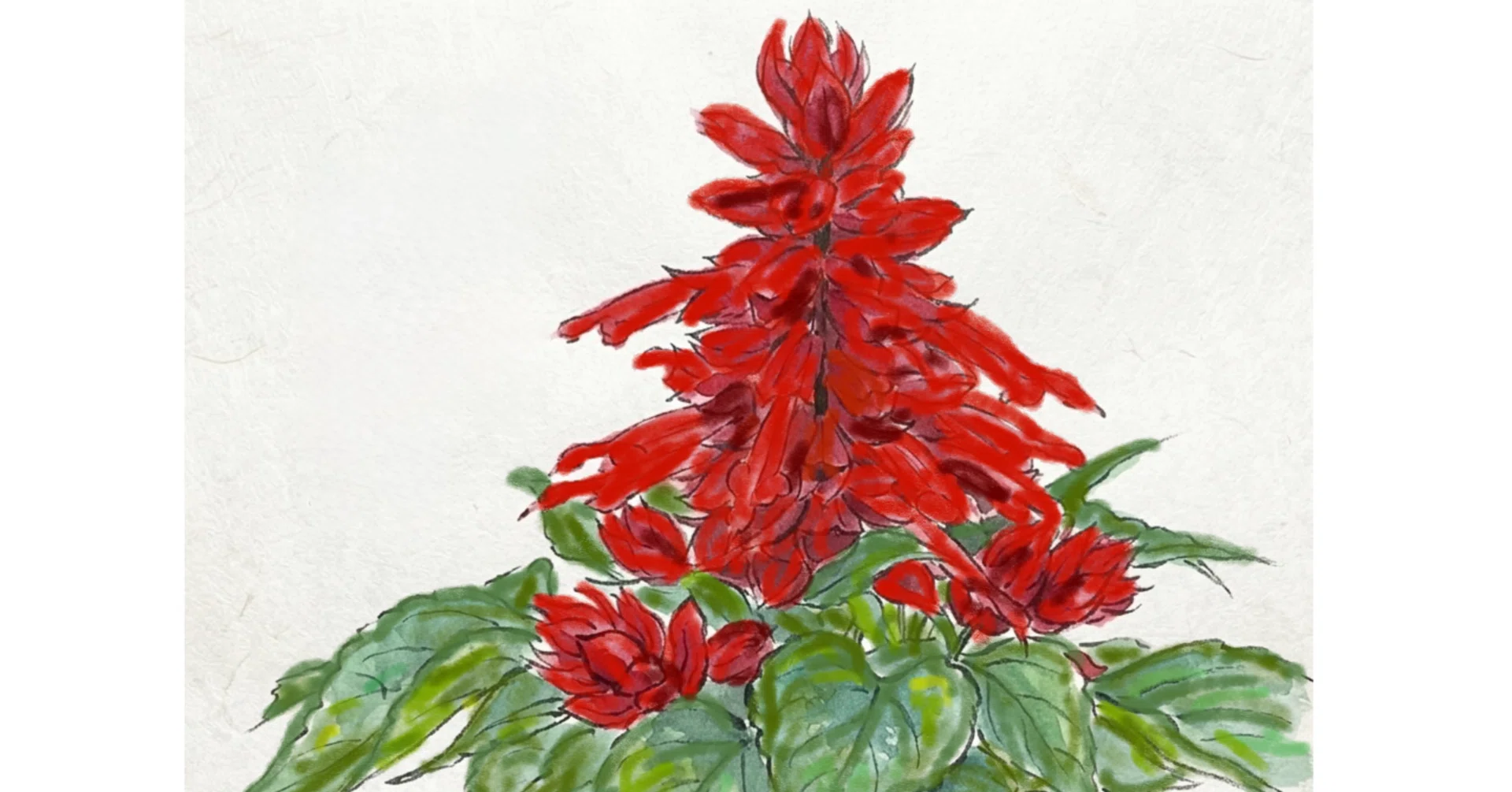はっぴいえんど 風をあつめて / サルビアの花　7インチ 超レア‼️ 入手困難 3行日記 サルビアの花｜わらび
