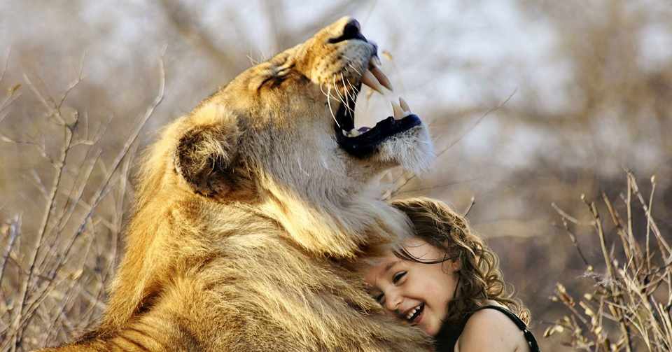 7割増しでかっこいい返事の仕方 しょうのよちよち英会話 Note