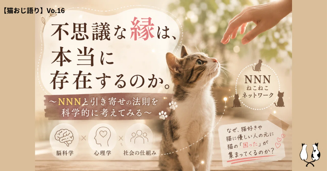 猫おじ語り】Vo.16（全文無料）不思議な縁は、本当に存在するのか