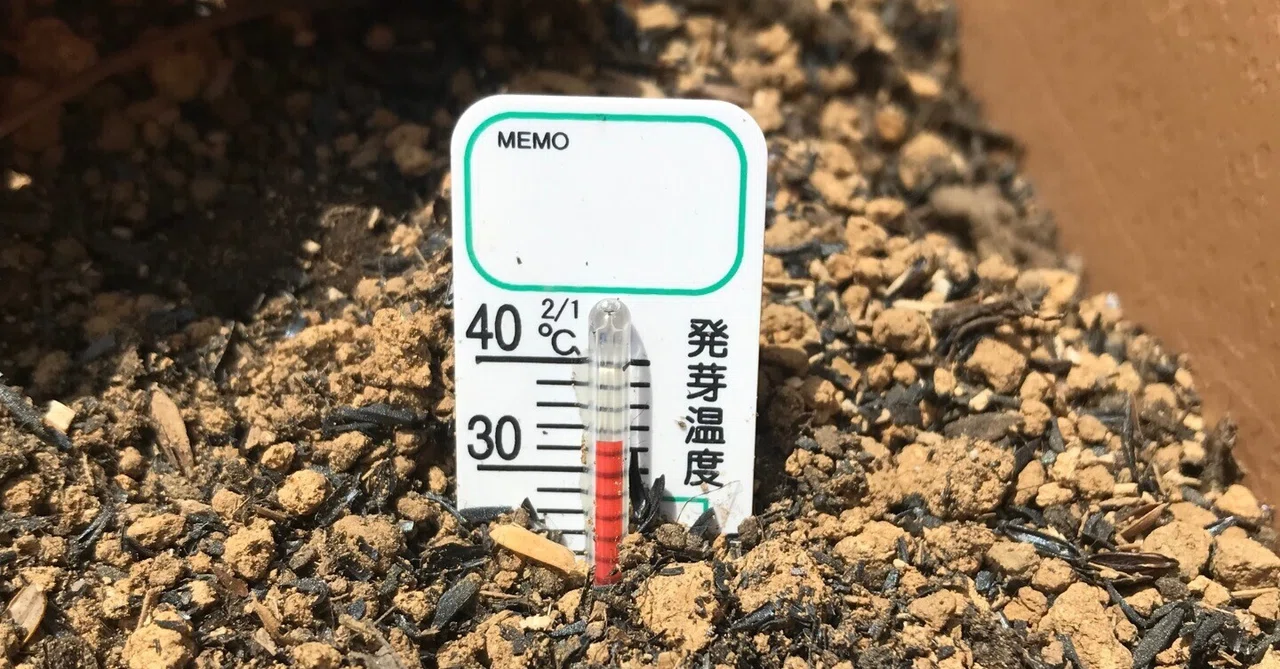 気温27℃快晴時、プランターの土は36℃の衝撃！〜植物を枯らさないために