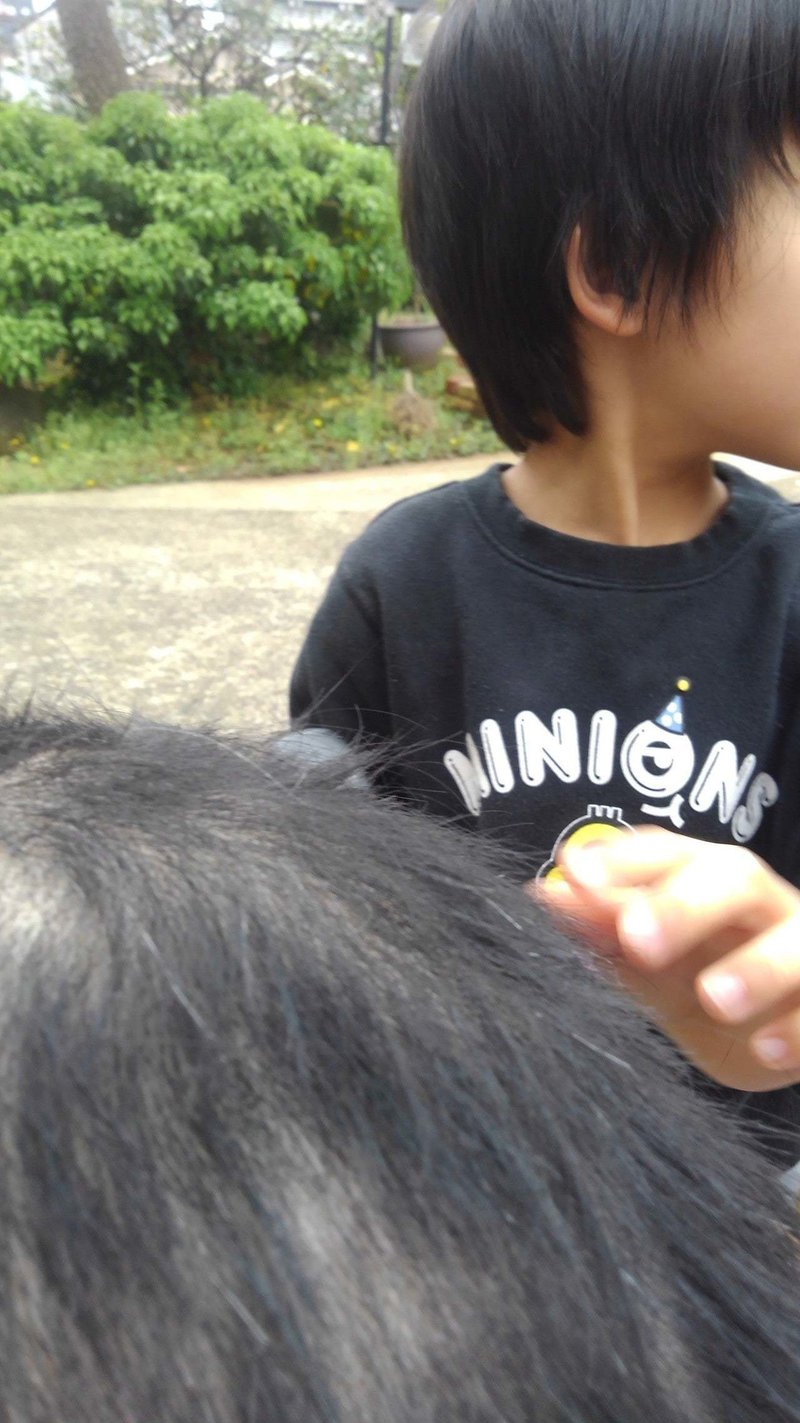 子供とのステイホームネタ 工作からパパの頭を坊主にするまで 16つ 喜業家つぼたこうすけ エンジェル投資家 感護師 Note 子供とのステイホームネタ 工作からパパの頭を坊主にするまで 16つ 喜業家つぼたこうすけ エンジェル投資家 感護師 Note