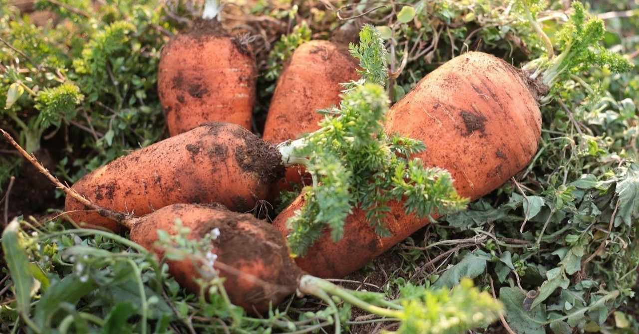 シータ の定番タグ記事一覧 Note つくる つながる とどける