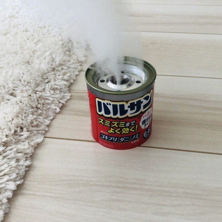 初めてバルサンを焚いたから 今日はバルサン記念日 チョコチップぱん Note