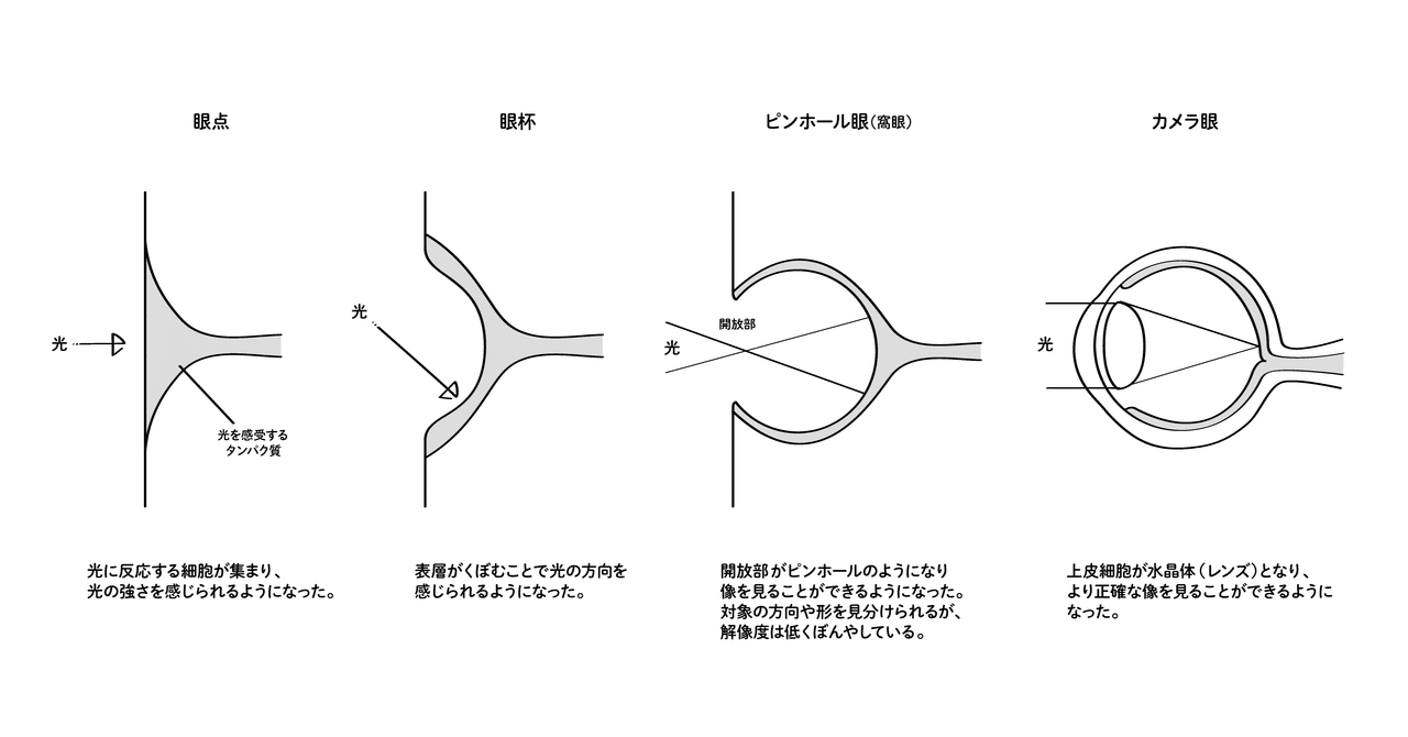 目に見える進化様 オーダーパソコン