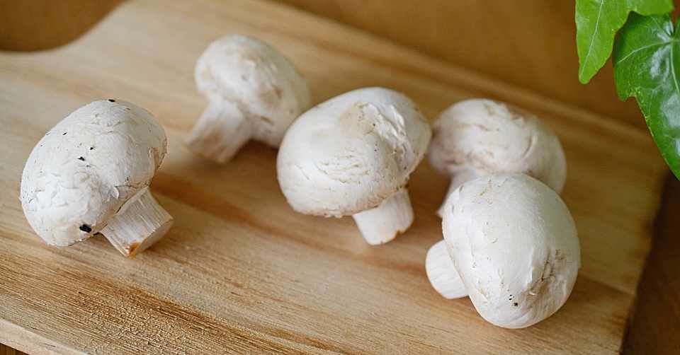 お肉や魚介の引き立て役 マッシュルームの活かし方 大家 輝 Ooya Hikaru Note