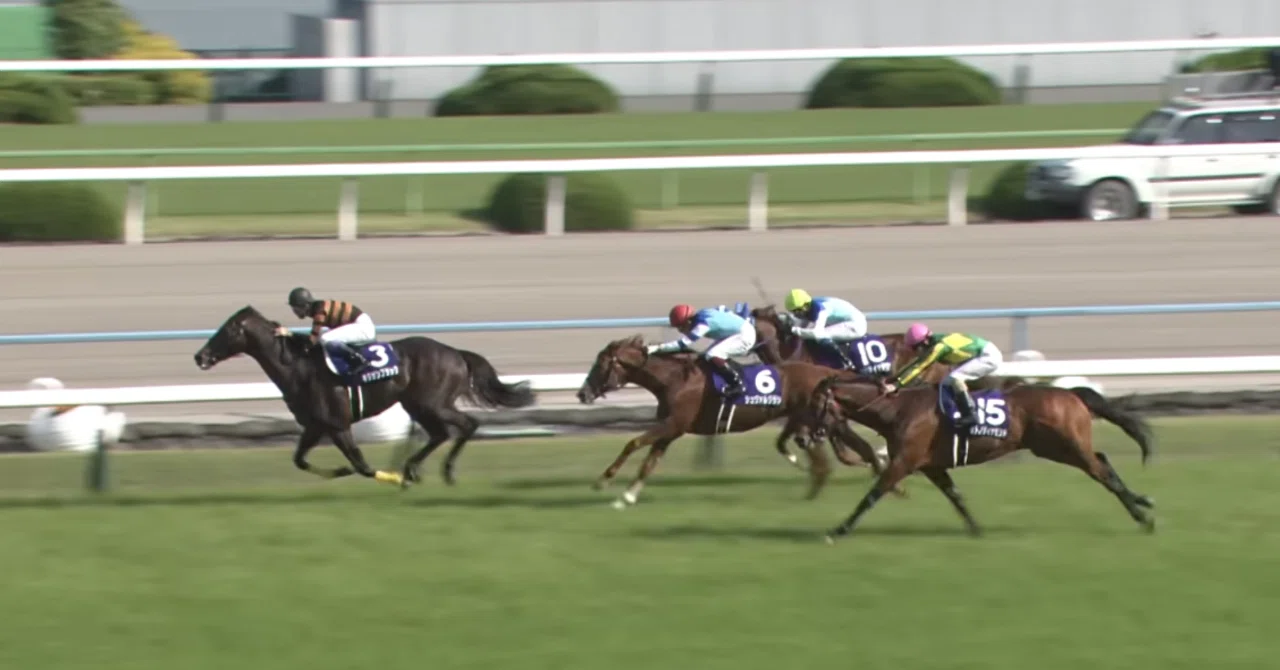 春古馬三冠レース(大阪杯・天皇賞春・宝塚記念)の歴代皆勤馬 ｜ぱねす