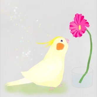 コトリ