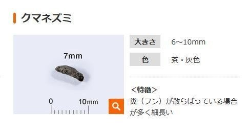 ベランダに黒い1cmくらいのフンが 調べるとまさかのアレが犯人 ゆえ ゆるダイエット実践中 Note