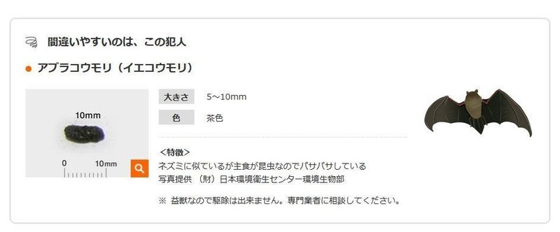 ベランダに黒い1cmくらいのフンが 調べるとまさかのアレが犯人 ゆえ ゆるダイエット実践中 Note