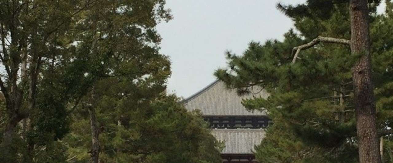 ひれ伏すパワーの源が東側に 東大寺 パワースポット エネルギー体感体質 Note