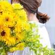 アンモビウム 8月14日 誕生花 花咲かせおじさん すべての人に花を Note