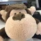 samu_saru