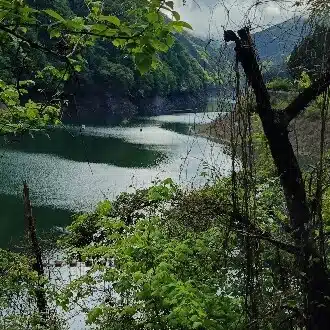 れび