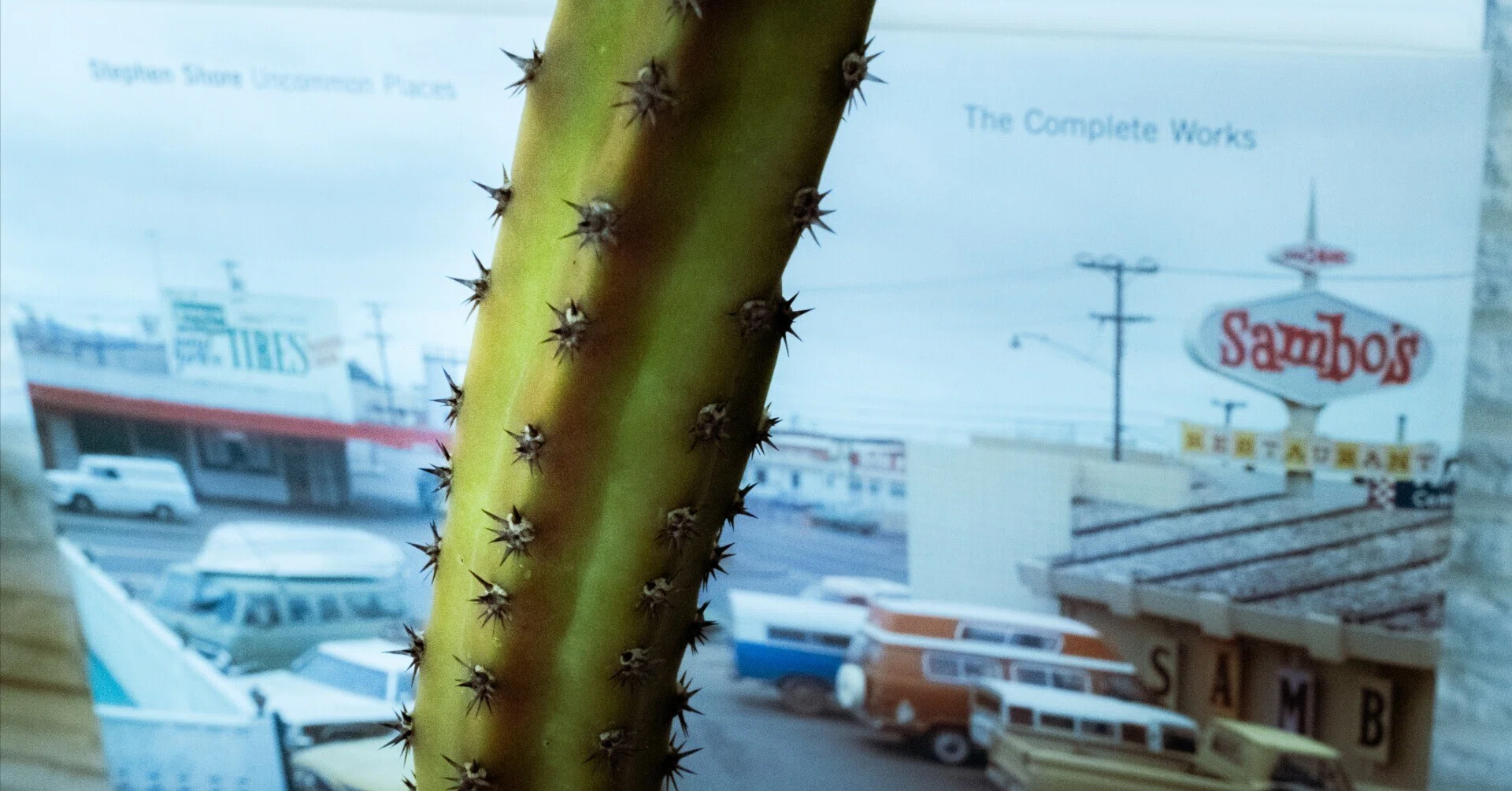 STEPHEN SHORE　 スティーブン・ショア Stephen Shore（スティーブン・ショア） From My Photobook Library