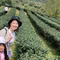 Akirin-taiwanphn