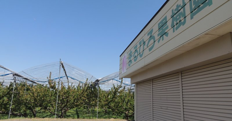 奮闘する人 傍観する人 どうなるフルーツ狩り 福島市観光果樹園を襲う負のスパイラル 月刊 政経東北 note