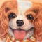 ゆり🌼ペットアート作家