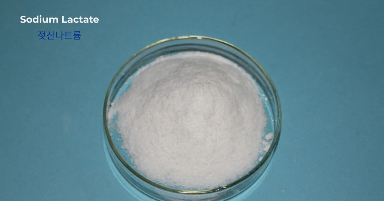 젖산나트륨(Sodium Lactate)가격 동향: 시장 인사이트, 수요 분석 및 향후 전망｜ChemAnalyst Japan