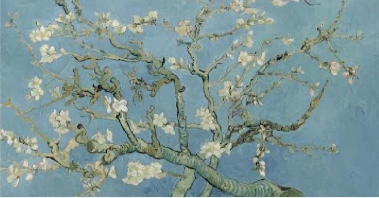花咲くアーモンドの木の枝――ゴッホ美術館で見つめたきょうだいの時間