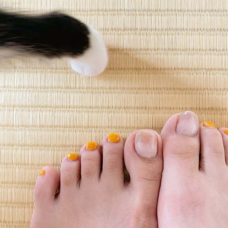 猫とマニキュア コハル Note