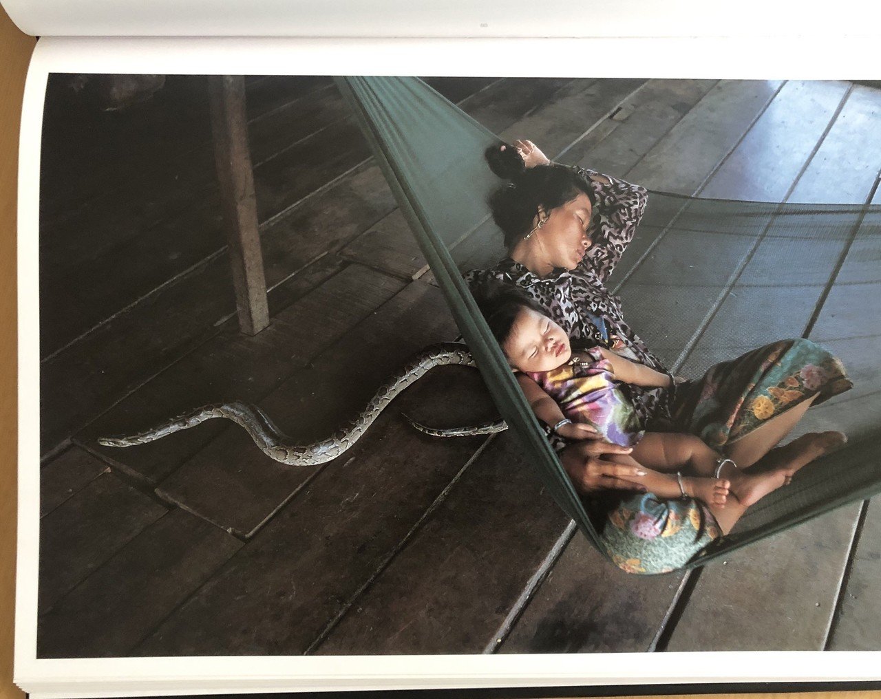 photo book challenge Day 3「South Southeast」スティーブ