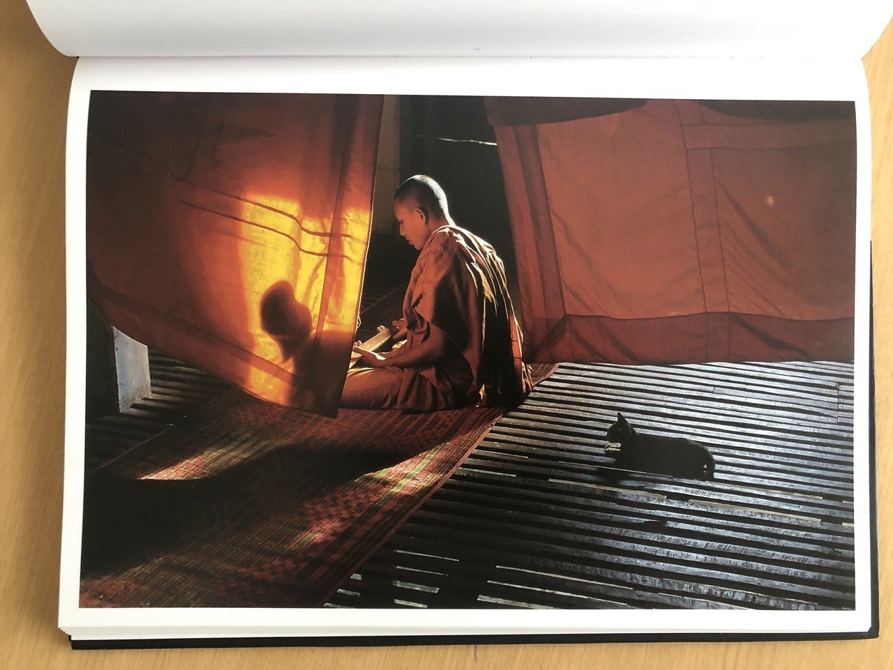 photo book challenge Day 3「South Southeast」スティーブ