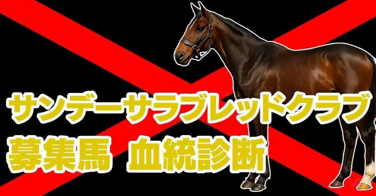 未開封2023年 社台サラブレッドクラブ サンデーサラブレッドクラブ カタログ サンデーサラブレッドクラブ25産 血統短評メモ｜POG一口馬主情報局